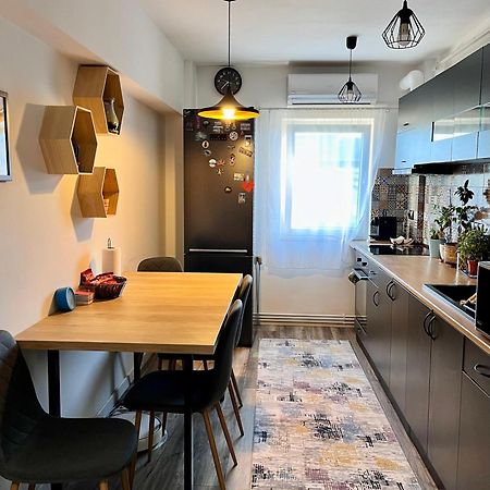 Comfortable Baia Mare Apartment Экстерьер фото